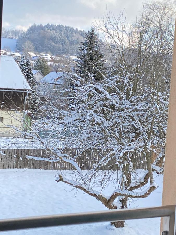 Grosszuegig Und Komfortabel:Ferienwohnung Im Bayerischen Wald! Wiesenfelden Ngoại thất bức ảnh